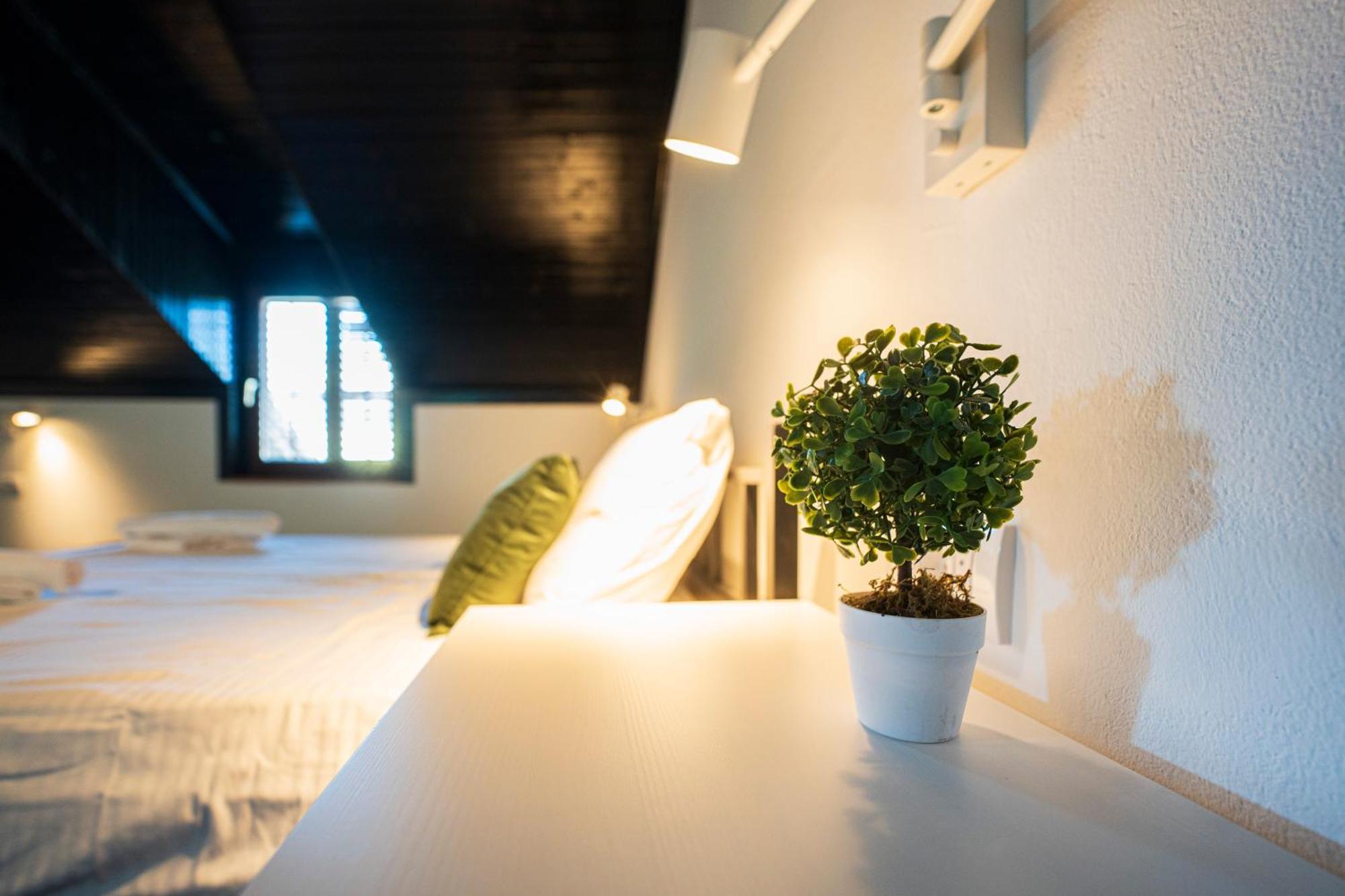 Cozy Nook B&B - Free Private Parking Novi Sad Exterior photo